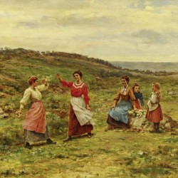 Battle of the flowers